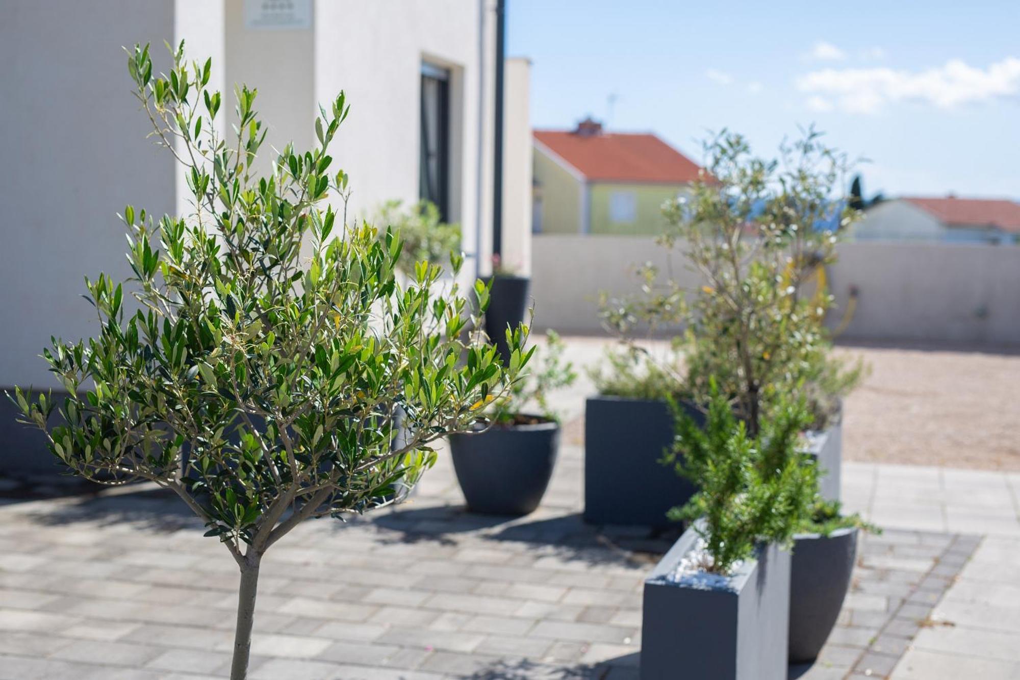 Apartment Sara Krk Town Εξωτερικό φωτογραφία
